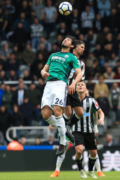 多样化和立 多样化和立